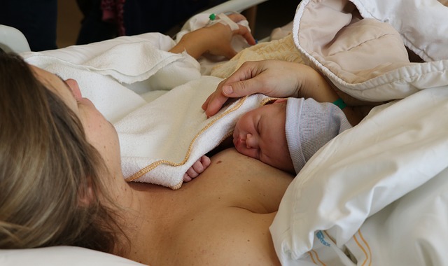 newborn-3989835_640
