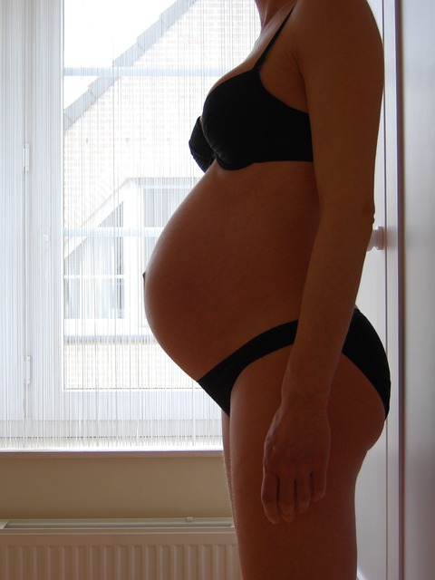 pregnant-215311_640(1)