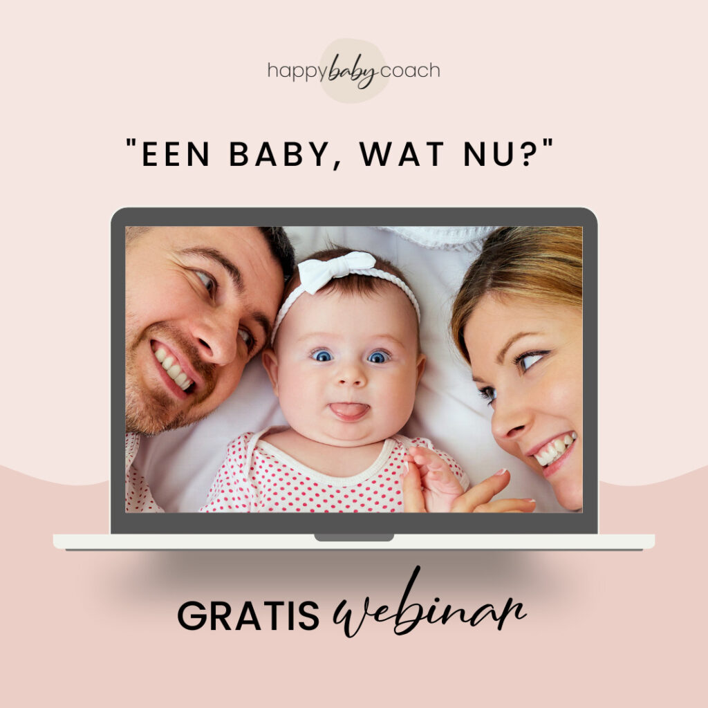 Baby Basics Visual (3)