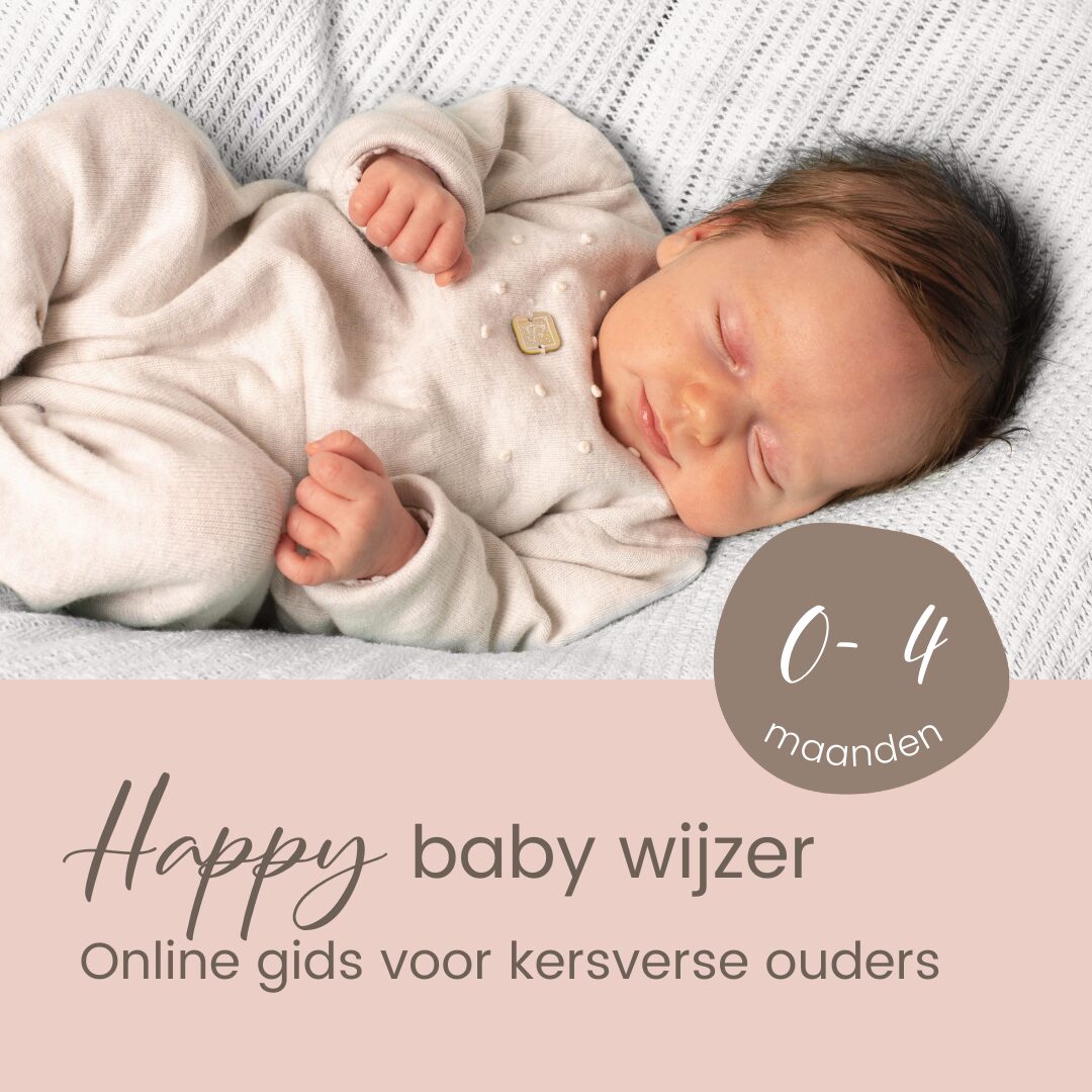 Baby Basics Visuals (1)
