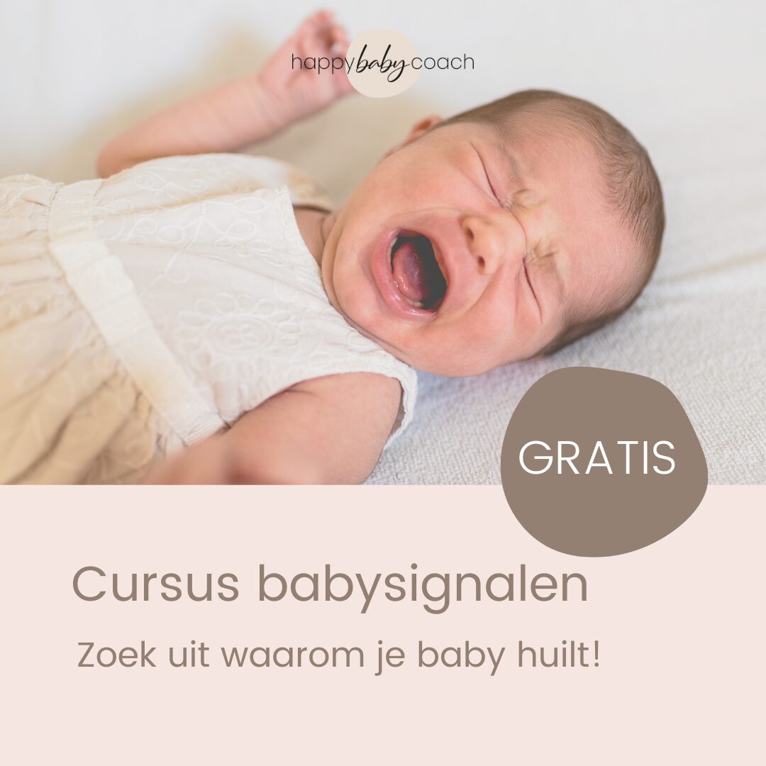 Visuals cursussen