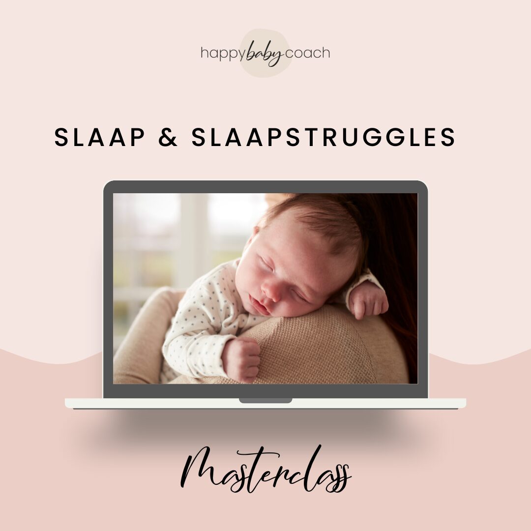 Baby Basics Visuals (3)