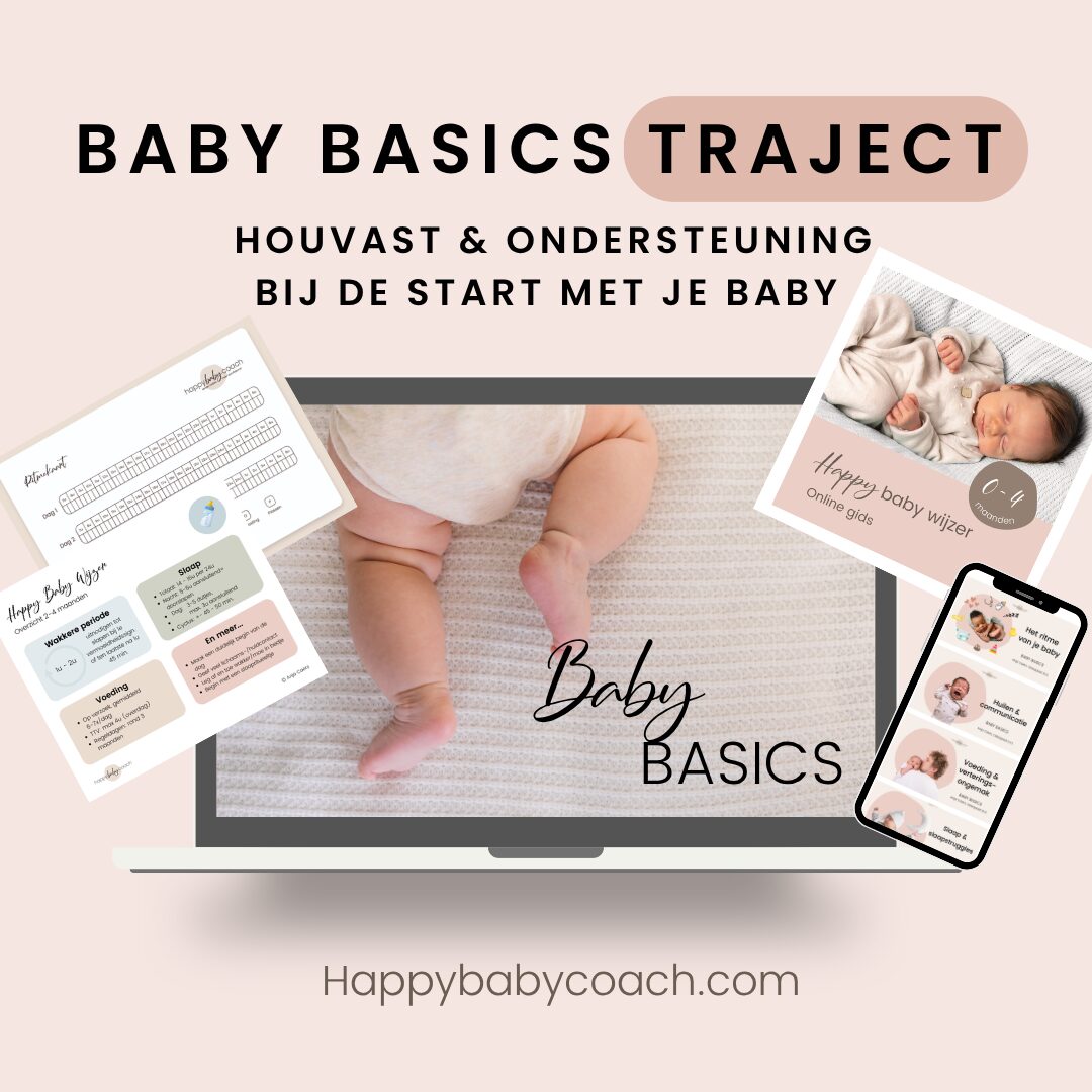 Baby Basics Visuals